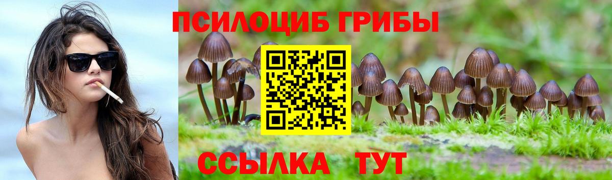 Псилоцибиновые грибы мицелий Кушва